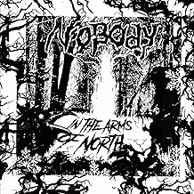 Nobody (FIN) : In the Arms of North